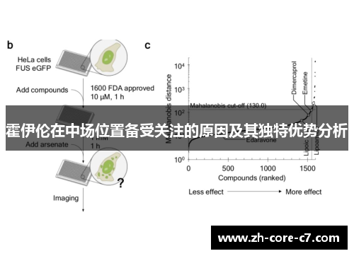 霍伊伦在中场位置备受关注的原因及其独特优势分析