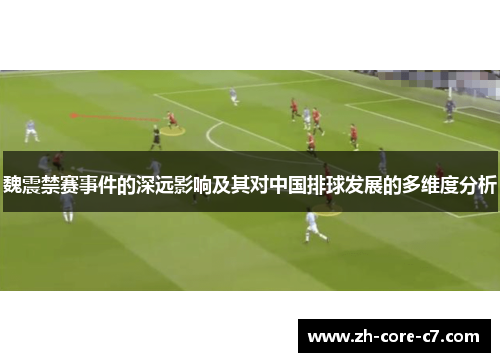 魏震禁赛事件的深远影响及其对中国排球发展的多维度分析