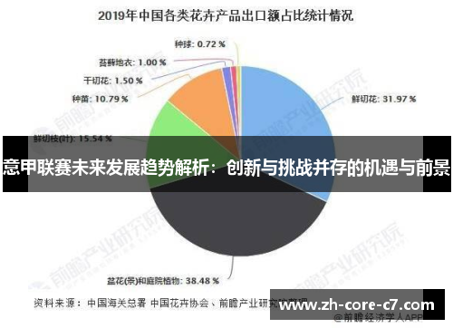 意甲联赛未来发展趋势解析：创新与挑战并存的机遇与前景