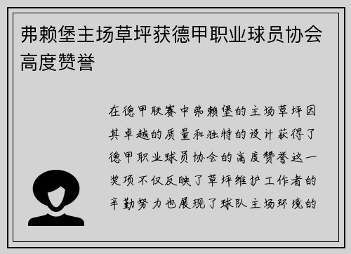 弗赖堡主场草坪获德甲职业球员协会高度赞誉
